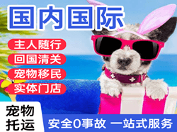 天吉泰机场货运国际宠物托运 【国